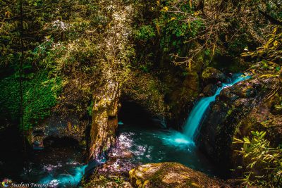Contemplada por riquezas naturais belíssimas, Iraí oferece uma ótima pedida para quem gosta de aventura, aproveitar uma trilha, curtir a natureza e depois se esbaldar em um delicioso banho nas diversas cachoeiras do município