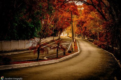 A harmonia com a natureza cada vez mais se faz necessária na vida do ser humano. No complexo turístico Thermas de Iraí, o turista encontrará um bosque de aproximadamente cinco mil metros de extensão e dois de largura, propício para trilhas, caminhadas, ca